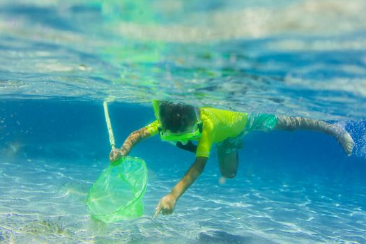 Underwater shoot of a cute boy snorkeling with scoop-net in a tropical sea