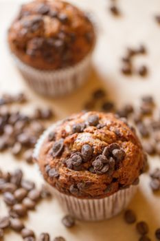 two chocolate muffins with a coffee beans