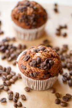 two chocolate muffins with a coffee beans
