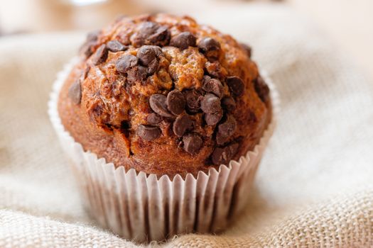 Homemade dark muffin with a chocolate chips