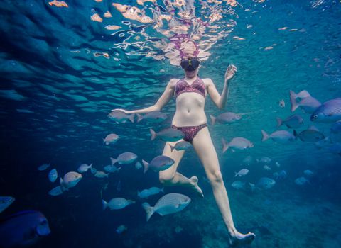 Girl Snorkeling in the Ocean and Surrounded with Chopa Fish