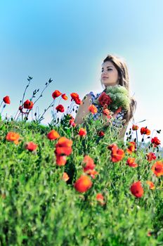 beautiful girl with long hair sitting in the poppy field 