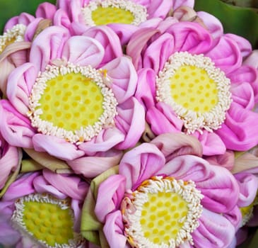 Thai traditional style folding pink lotus bouquet