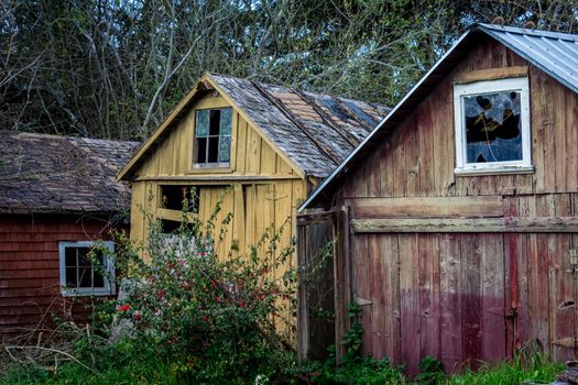 Detail of an abandoned barn in Northern California, USA.