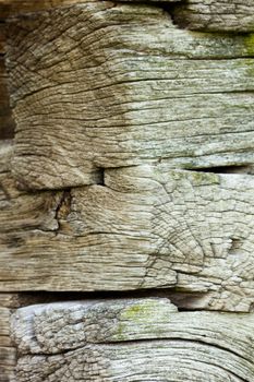 The corner of the old log house. Close up. Wooden texture.