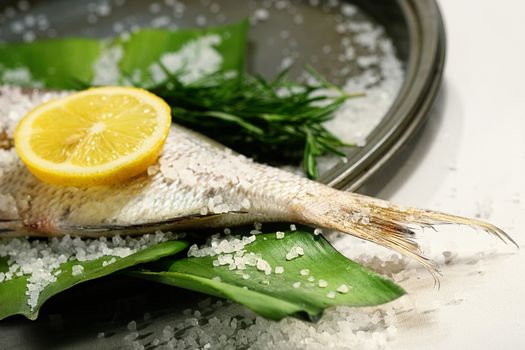 Fish tale with lemon, alt and herbs