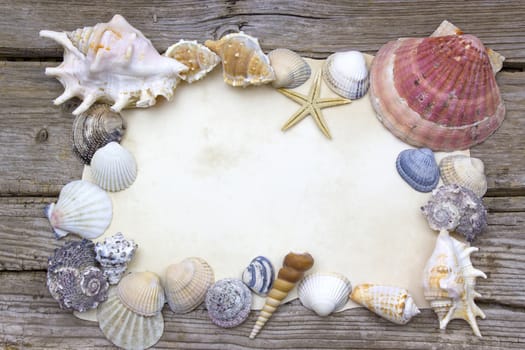 blank paper on wooden background with seashells