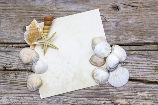 blank paper on wooden background with seashells