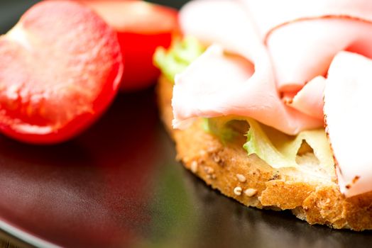 Open-faced  sandwich with turkey, tomato and salad leaves