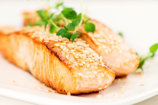 Grilled salmon, sesame seeds  and marjoram on white plate. Studio shot