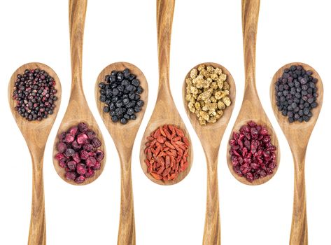 healthy dried berry collection (blueberry, mulberry, cherry, goji, elderberry, chokeberry, cranberry) on isolated wooden spoons, top view