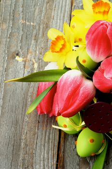 Bunch with Yellow Daffodils and Magenta Tulips in Watering Can with Green Spotted Easter Eggs closeup on Wooden background