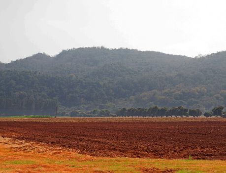 View of plowed field ready for new crops