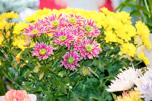 Big colorful bouquet with different flowers.