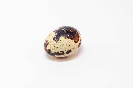 Quail egg in front of a white background.