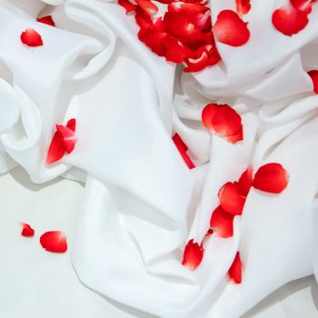 Rose petals on white fabric with background