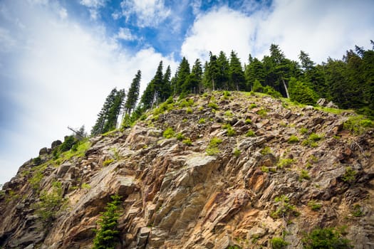 Mountain cliff abyss with green piens on top