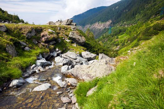 Forest stream surrounded by vegetation running over rocks