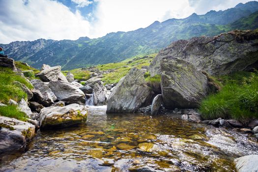 Forest stream surrounded by vegetation running over rocks