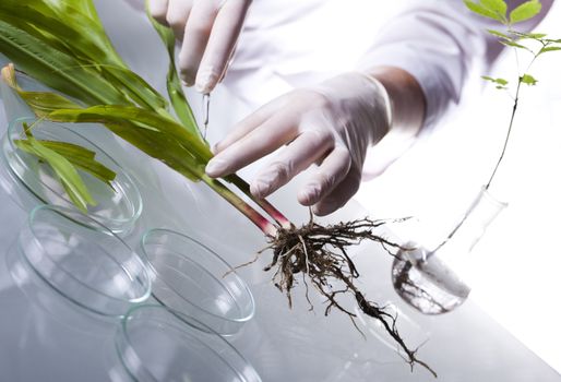 Chemistry equipment, plants laboratory experimental