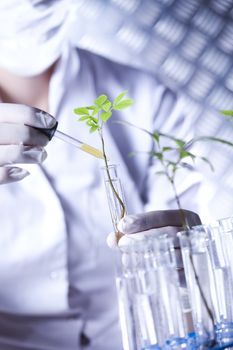 Laboratory glassware, genetically modified plant