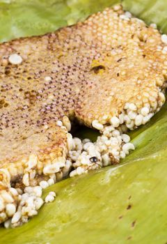 roasted immature beehive on banana leaves - Thai expensive traditional food