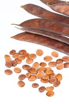 Bauhinia purpurea Linn.-seed and pod on white background