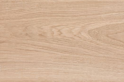 oak plate texture