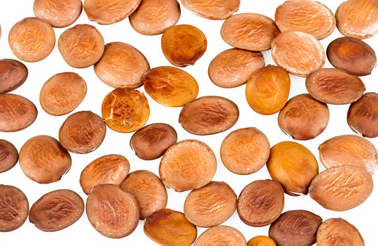 Bauhinia purpurea Linn.-seed on white background