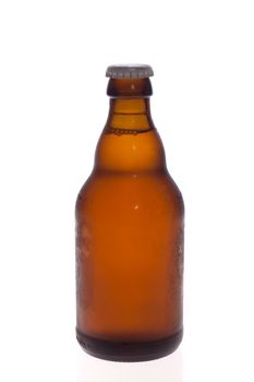 Beer bottle isolated on white