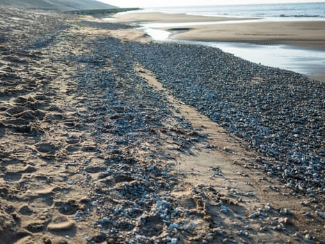 Bech and stone near the Baltic sea