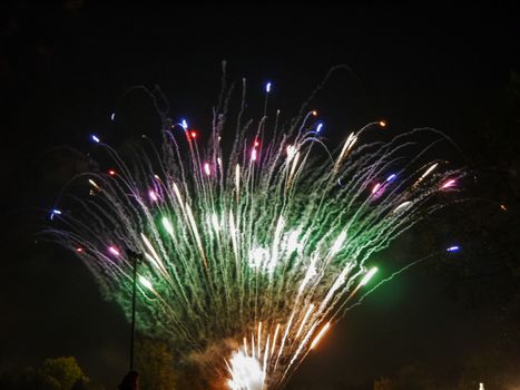 Colorful fireworks on the black sky background