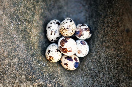 Quail eggs on the textured stone surface