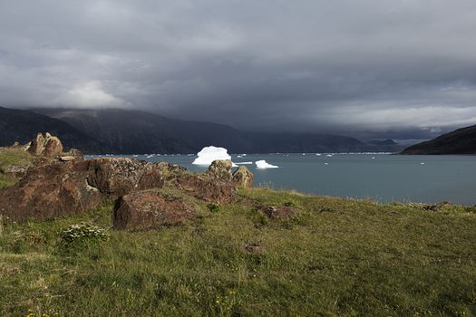 iceberg inthe coast of greenland