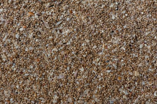 Seaside sand that with close-up view turns out to be a coral debris processed by the ocean, formed into tiny balls. Together with the broken shells it creates the conceptual depiction of plurality, multiplicity and complexity. Uluwatu beach, Bali, Indonesia.