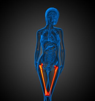 3d render medical illustration of the femur bone - front view