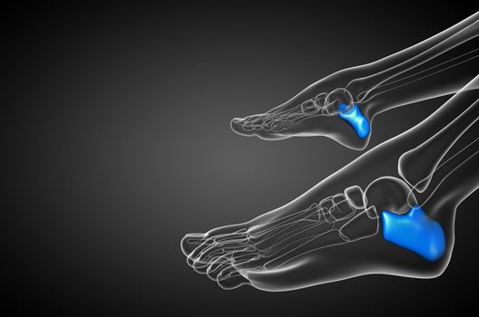 3d render medical illustration of the calcaneus bone - side view