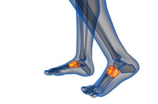 3d render medical illustration of the midfoot bone - side view