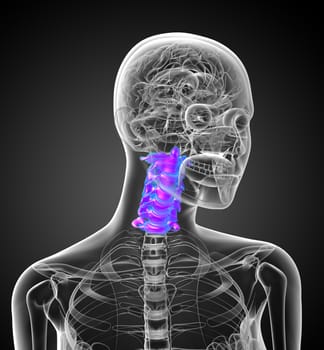 3d render medical illustration of the cervical spine - side view