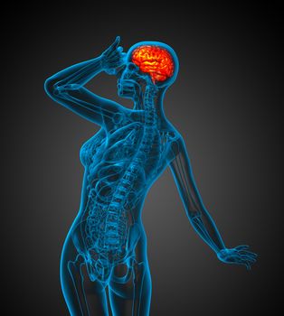 3d render medical illustration of the human brain - side view