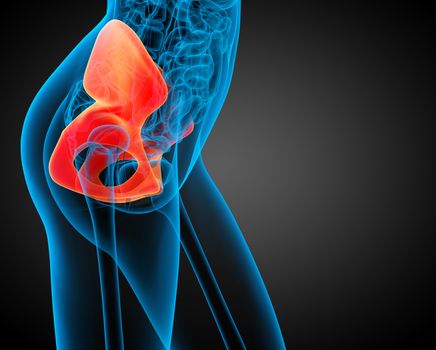 3d render medical illustration of the pelvis bone - side view