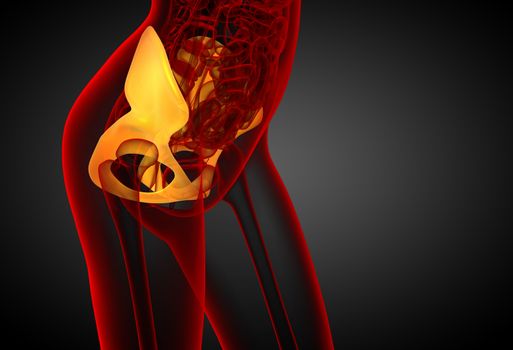 3d render medical illustration of the pelvis bone - side view