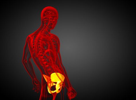 3d render medical illustration of the pelvis bone - side view