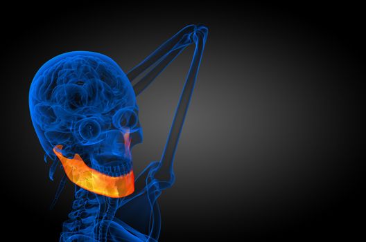 3d rendered illustration - jaw bone - side view