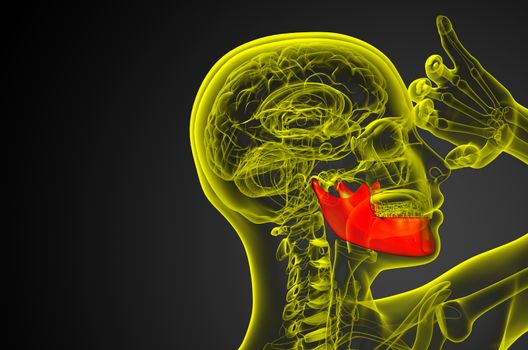 3d rendered illustration - jaw bone - side view