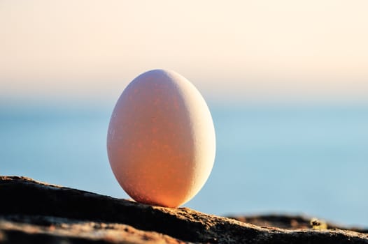 Hen's egg on the boulder on the seashore