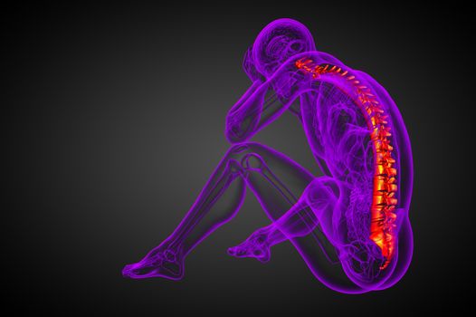 3d render medical illustration of the human spine - side view