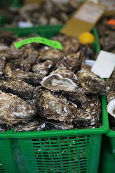 Close up of Oysters in a basket at the fish market