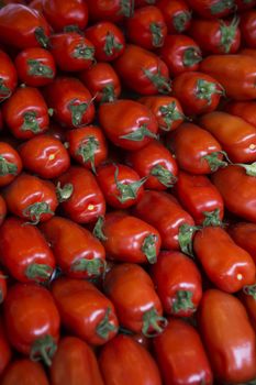 Perfect Shaped tomatoes full frame at the Vegetable Market in Paris