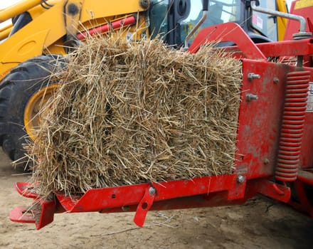 Bale of fresh hay coming out a red hay baler